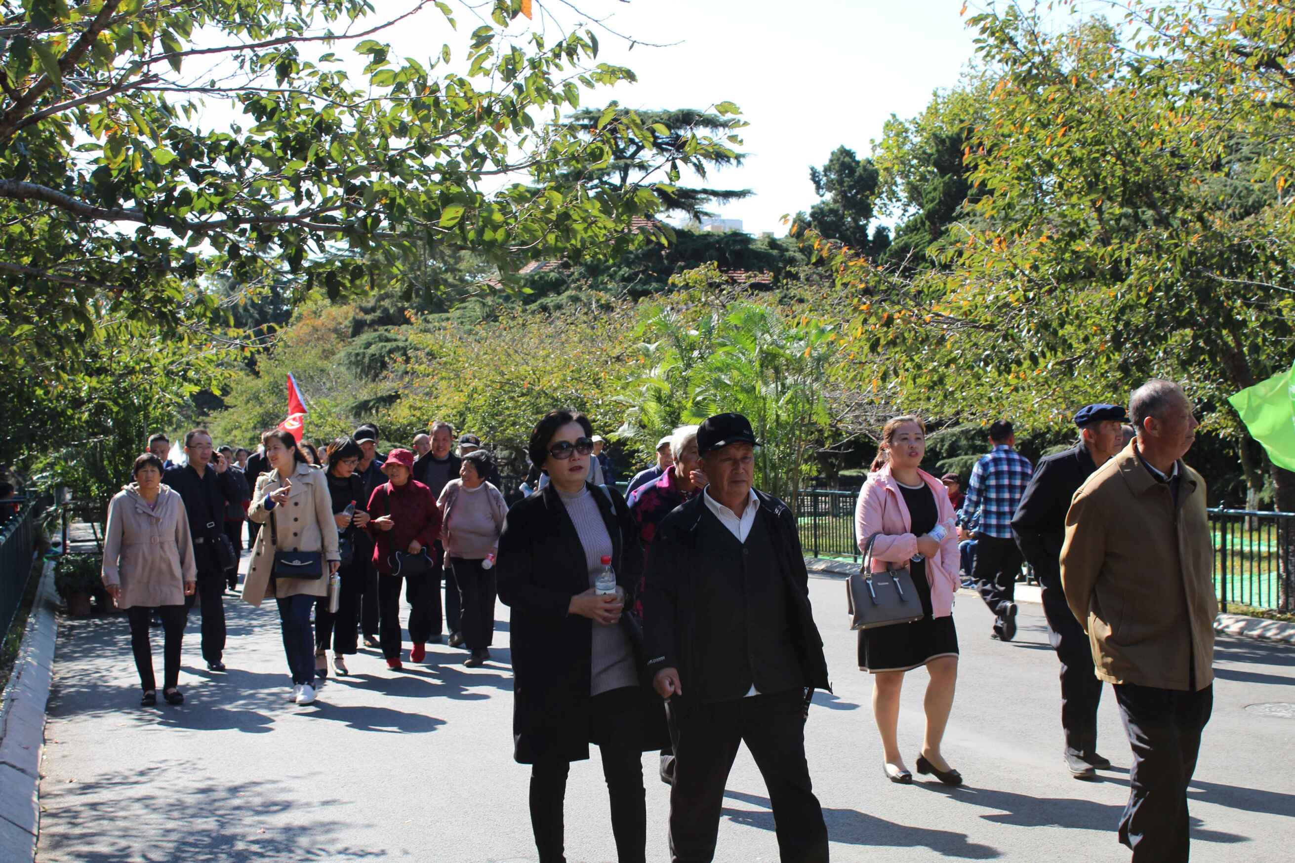 青岛单县商会重阳节举办敬老爱老 联谊活动 