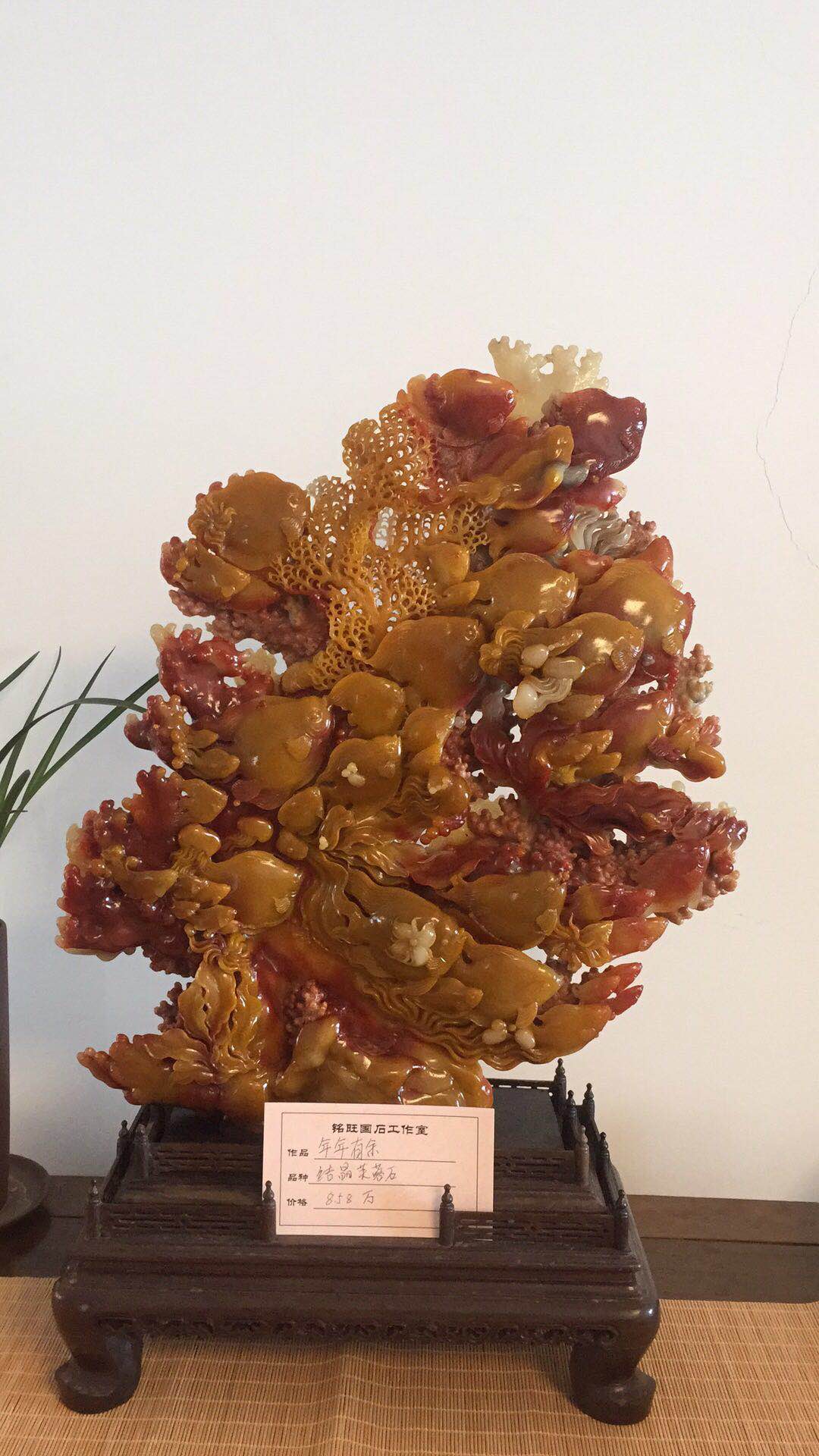 分享经验  共谋发展 