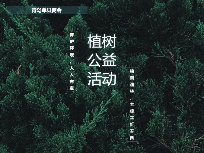 植树造林共建美好家园 单县商会开展义务植树公益活动 
